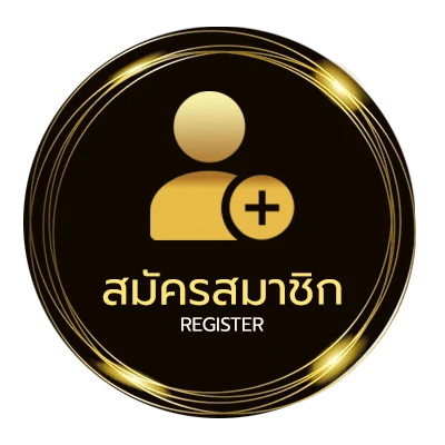 สมัครง่าย ไทยพบจีน ง่ายสุด ๆ